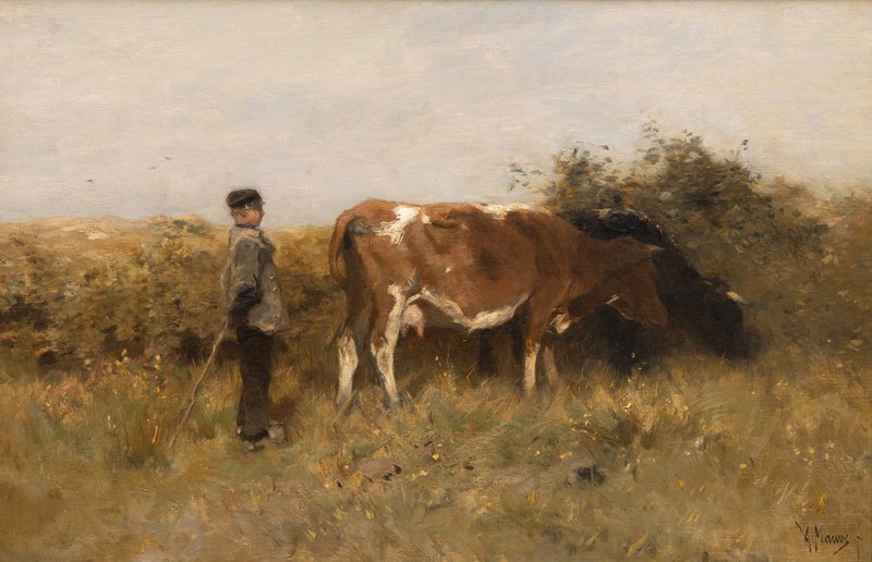 Anton Mauve, Jonge herder met koe, Particuliere collectie
