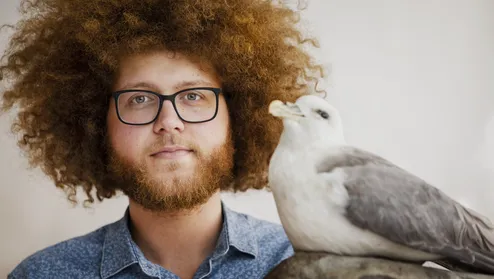 Auke Florian Hiemstra