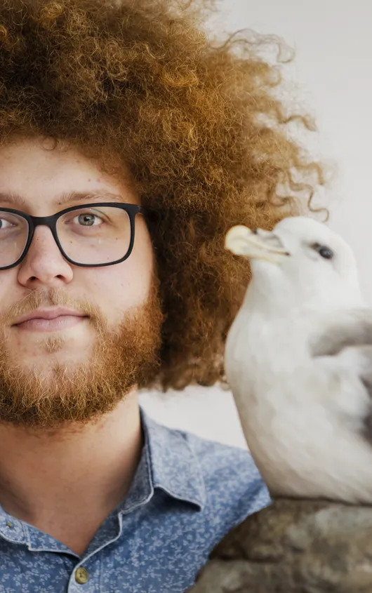 Auke Florian Hiemstra