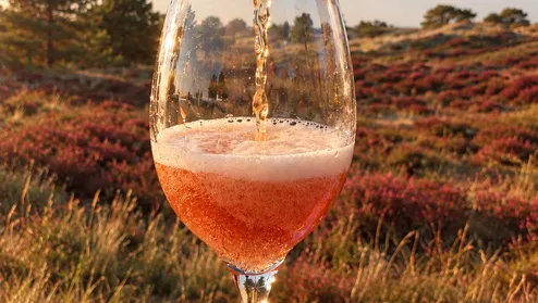 Betzy Blond - Fortuna Vlieland x MPM