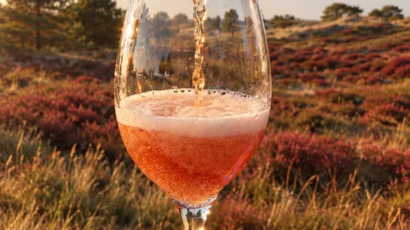 Betzy Blond - Fortuna Vlieland x MPM