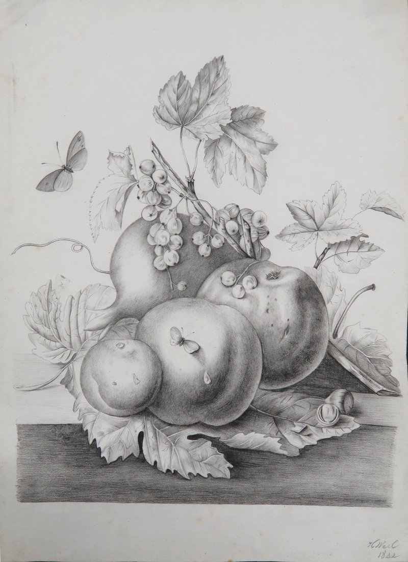 Hendrik Willem Mesdag, Fruitstilleven