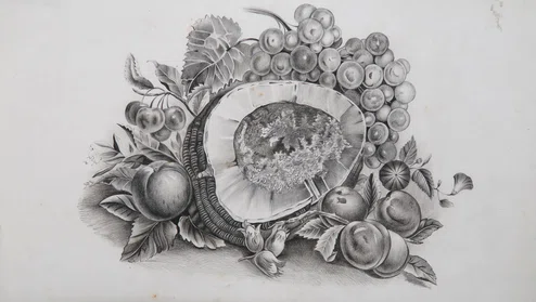 Stilleven van fruit, getekend met potlood op papier