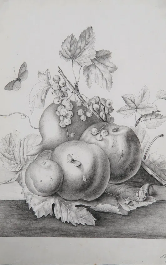 Tekening met potlood van perziken, pruimen, bessen en vlinders
