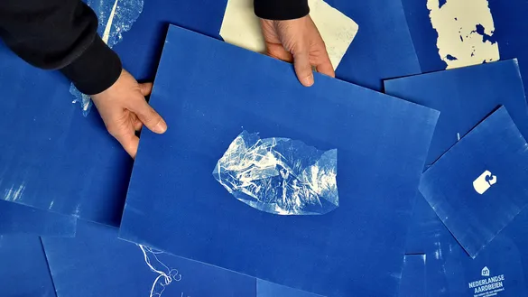 Suzette Bousema - Future Relics